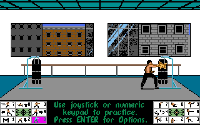 Скриншот из игры Bruce Lee Lives под номером 3