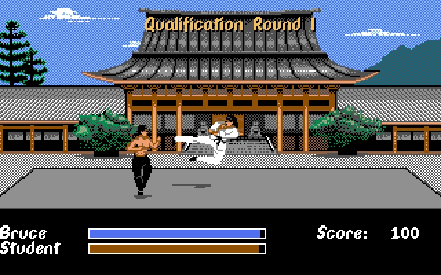 Скриншот из игры Bruce Lee Lives под номером 4