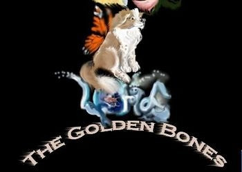 Обложка игры Candy World: The Golden Bones