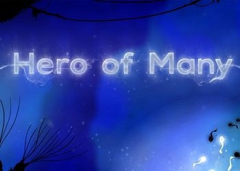 Обложка для игры Hero of Many