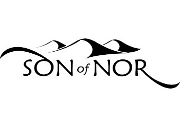 Обложка игры Son of Nor