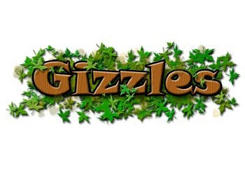 Обложка для игры Gizzles