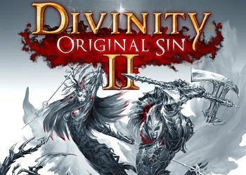 Прохождение игры Divinity: Original Sin 2