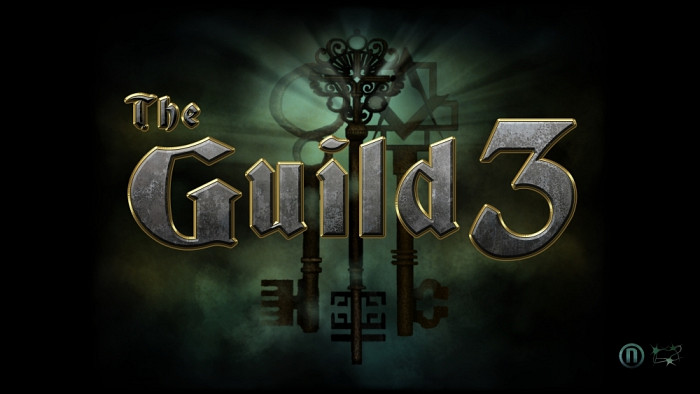 Обложка для игры Guild 3, The