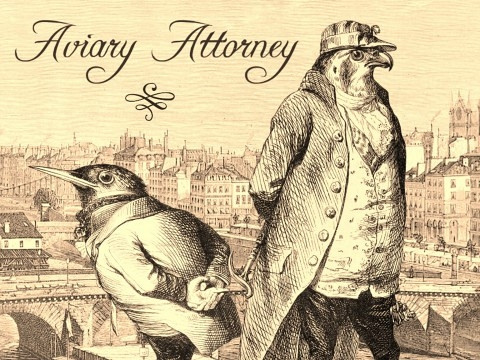 Обложка для игры Aviary Attorney
