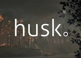 Обложка для игры Husk