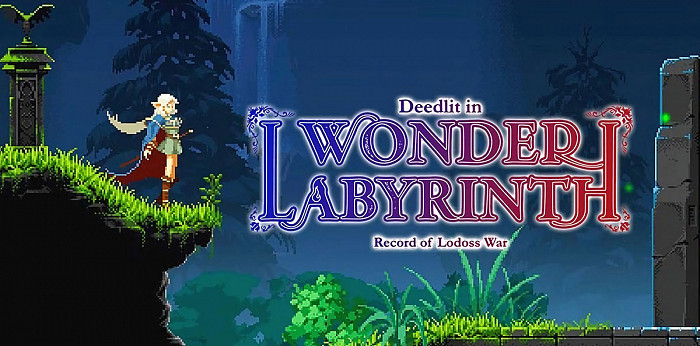 Обложка для игры Record of Lodoss War: Deedlit in Wonder Labyrinth