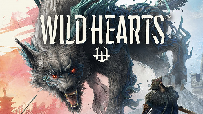 Обложка игры Wild Hearts