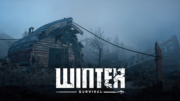 Обложка игры Winter Survival