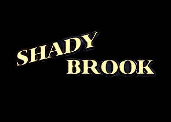 Обложка игры Shady Brook