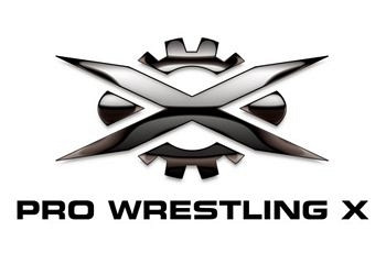 Обложка для игры Pro Wrestling X