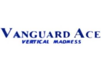 Обложка для игры Vanguard Ace: Vertical Madness