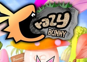 Обложка игры Crazy Bunny