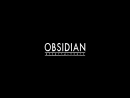 Новость Слухи о новом проекте Obsidian Entertament