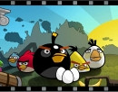 Новость Angry Birds - рекорды продолжают падать
