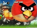 Angry Birds получат и владельцы консолей