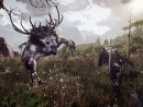 Новость Новые подробности о Witcher 3: Wild Hunt
