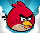 Разработчики Angry Birds плюют на пиратство