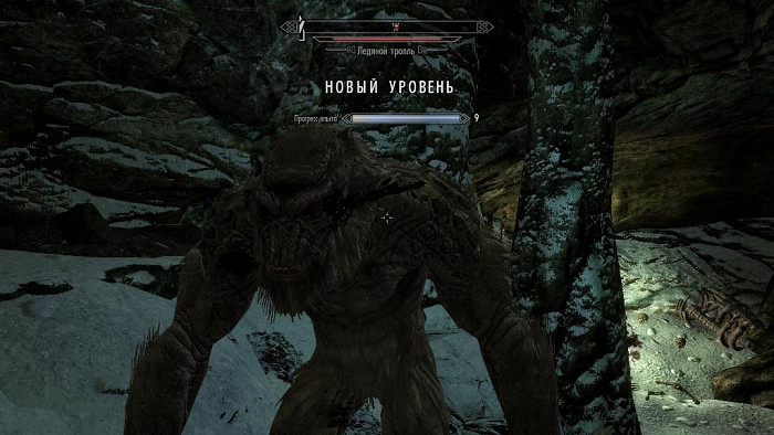 Скриншот из игры Elder Scrolls 5: Skyrim, The