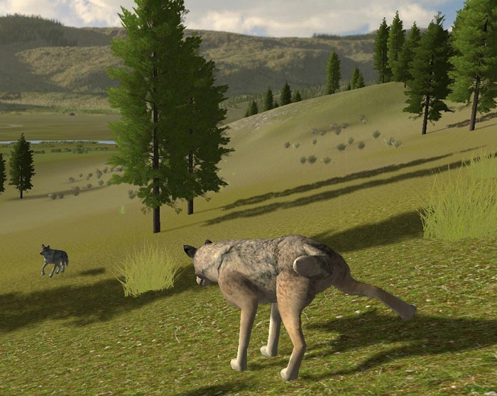 Скриншот из игры WolfQuest