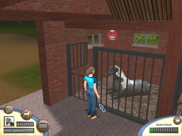 Скриншот из игры Championship Horse Trainer