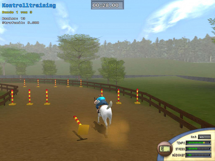Скриншот из игры Championship Horse Trainer