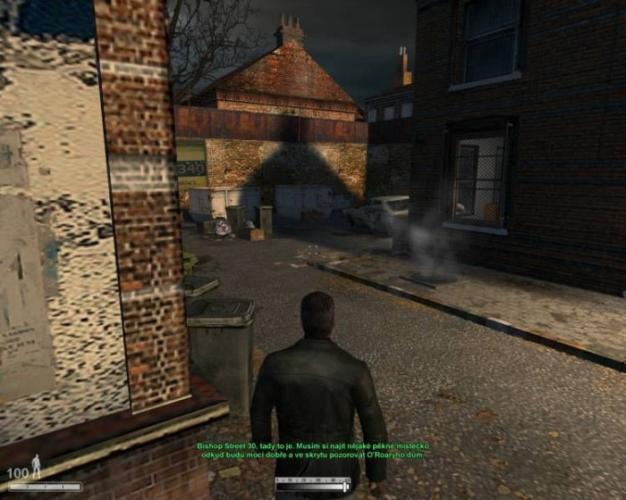 Скриншот из игры Chameleon
