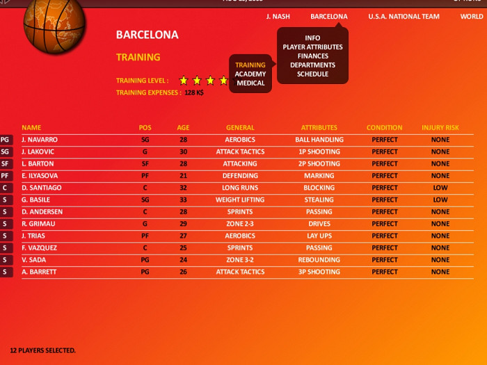 Скриншот из игры World Basketball Manager 2009