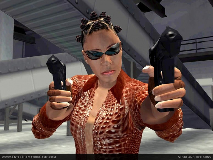 Скриншот из игры Enter the Matrix