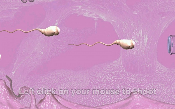 Скриншот из игры Catch the Sperm