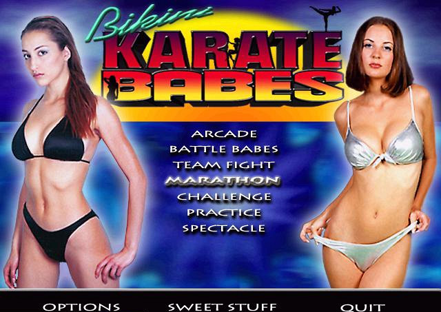 Скриншот из игры Bikini Karate Babes