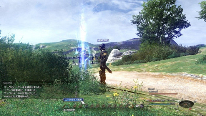 Скриншот из игры Final Fantasy XIV