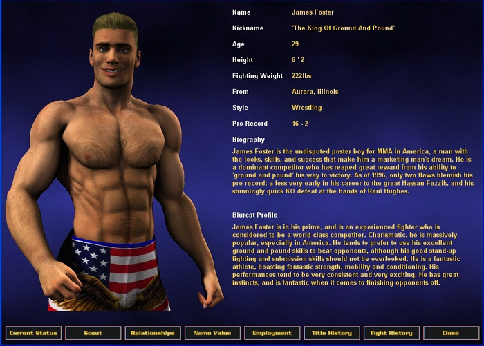 Скриншот из игры World of Mixed Martial Arts