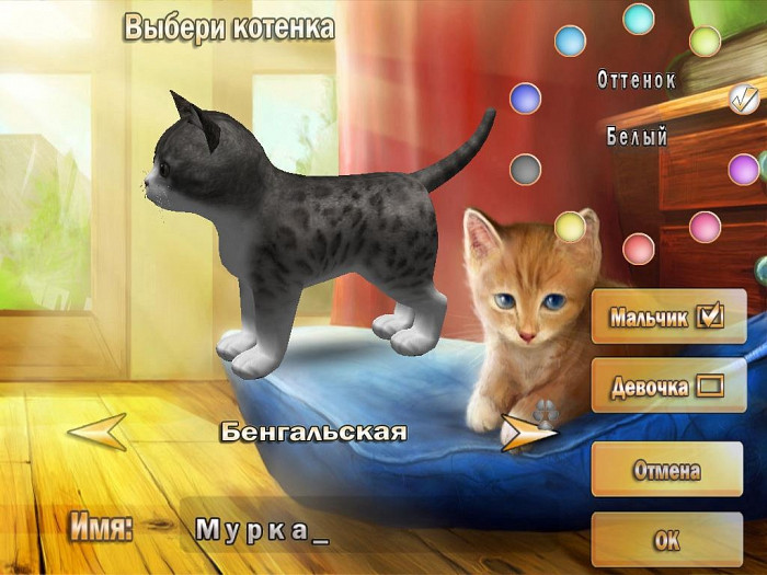 Скриншот из игры 101 Kitty pets