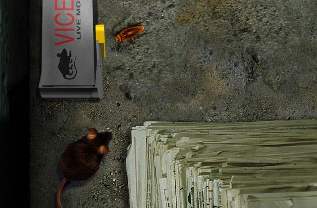 Скриншот из игры Bad Mojo: The Roach Game