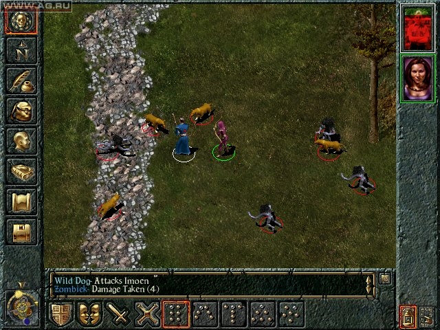 Скриншот из игры Baldur's Gate