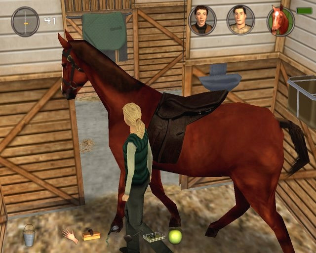 Скриншот из игры Alexandra Ledermann 3