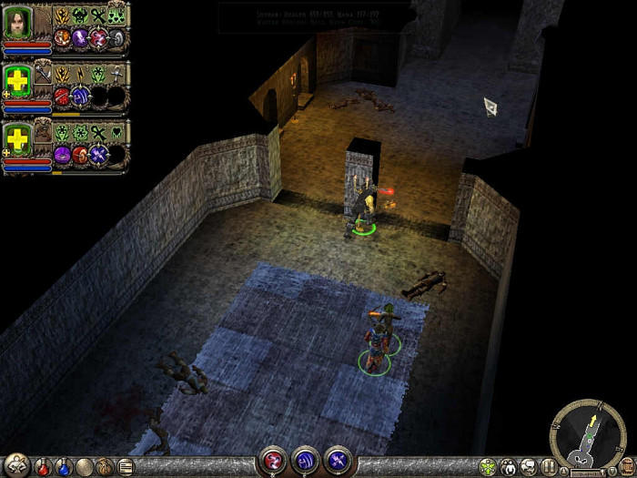 Скриншот из игры Dungeon Siege 2
