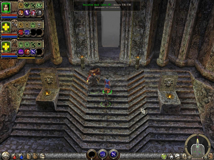Скриншот из игры Dungeon Siege 2