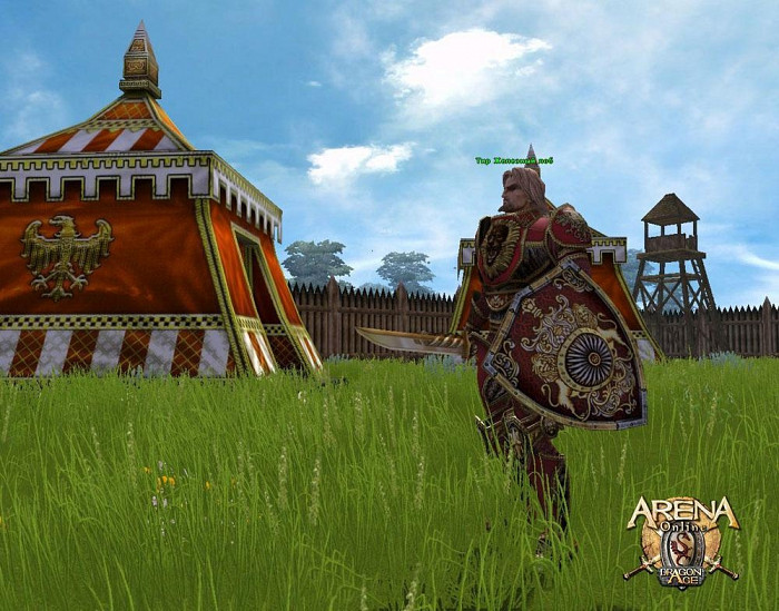 Скриншот из игры ARENA Online: Dragon Age