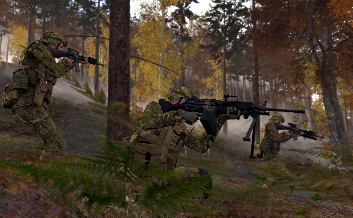 Скриншот из игры Armed Assault 2