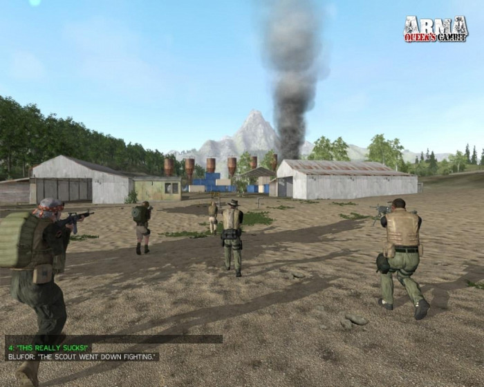 Скриншот из игры ArmA: Queen's Gambit