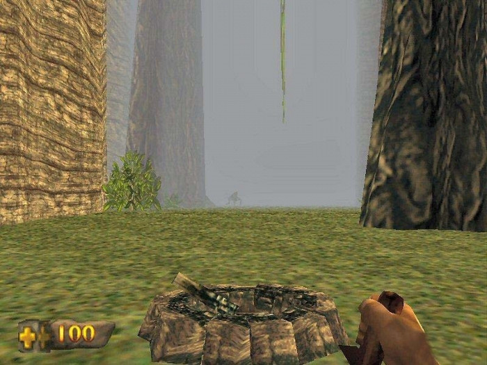 Скриншот из игры Turok: Dinosaur Hunter