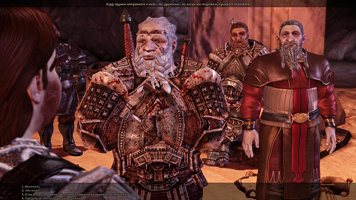 Скриншот из игры Dragon Age: Origins