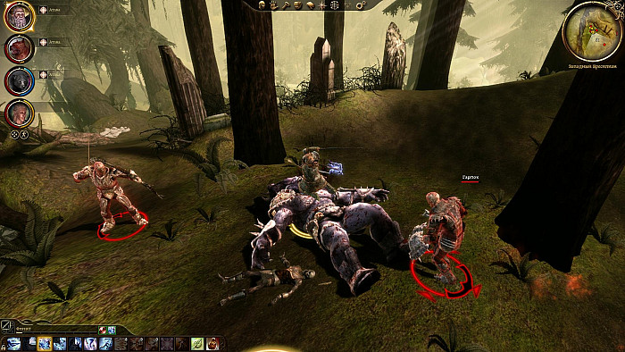 Скриншот из игры Dragon Age: Origins