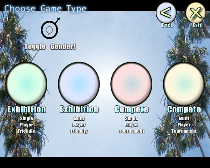 Скриншот из игры Beach Soccer