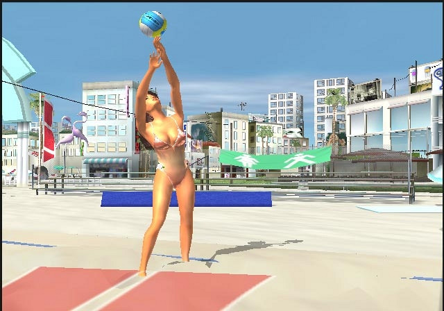 Скриншот из игры Beach Volleyball