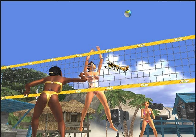 Скриншот из игры Beach Volleyball