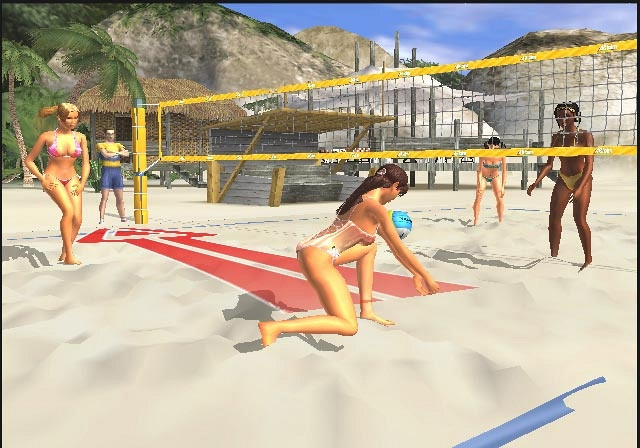 Скриншот из игры Beach Volleyball