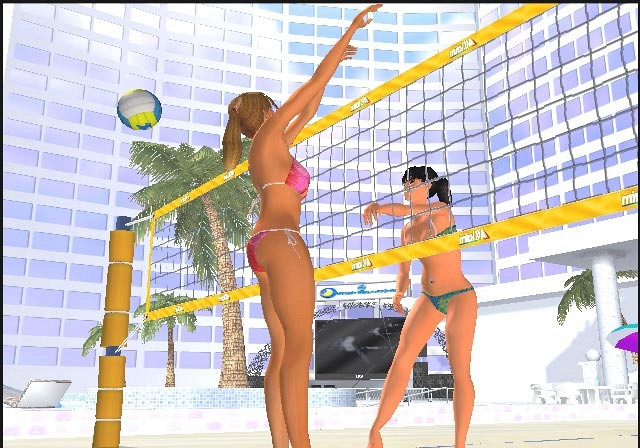 Скриншот из игры Beach Volleyball